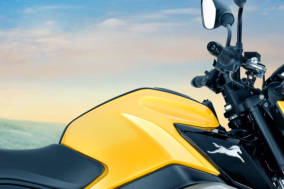 TVS Raider Split Seat